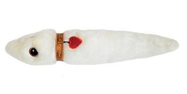 Heartworm- Side View