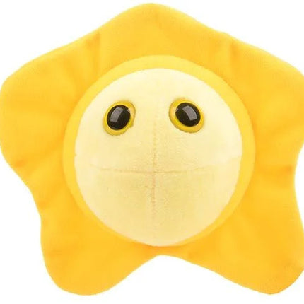 Herpes- Front View