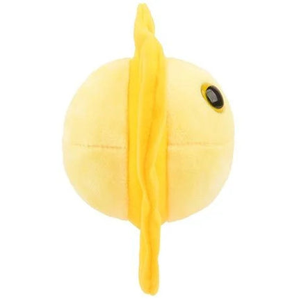 Herpes- Side View