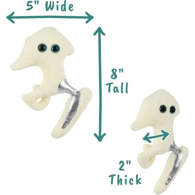 GM Hip Replacement - Original