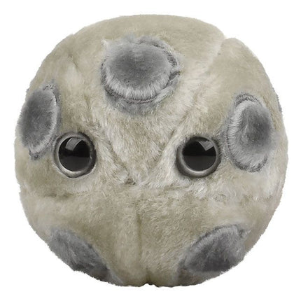 HPV- Front View