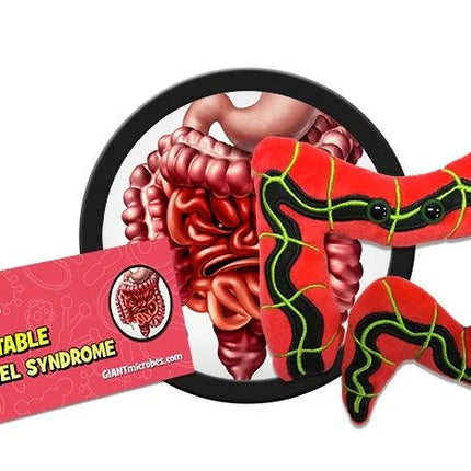IBS- Irritable Bowel Syndrome- with informational tag