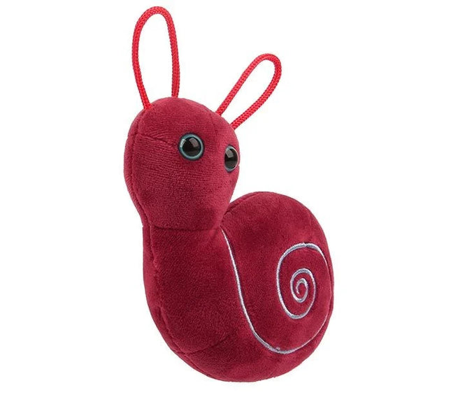 Inner Ear- Angled