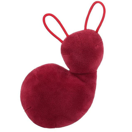 Inner Ear- Back View