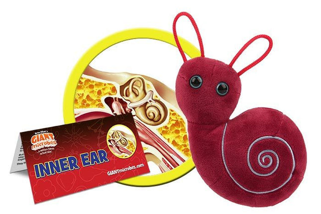 Inner Ear- With Informational Tag