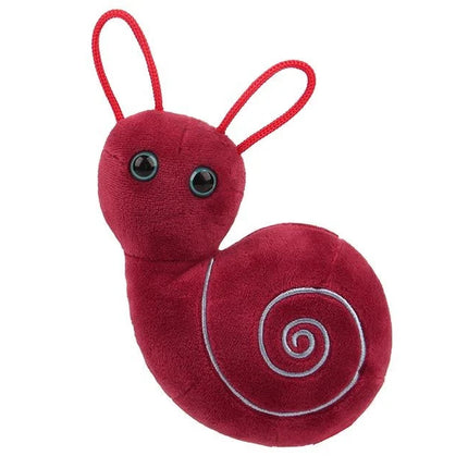 Inner Ear- Front View