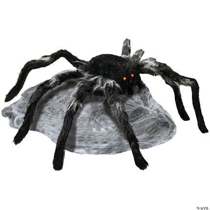 Jumping Spider- still