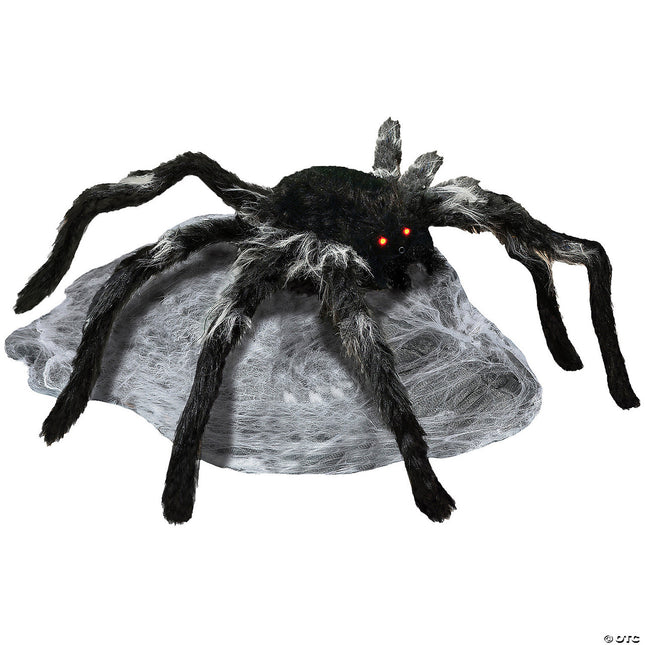 Jumping Spider- still