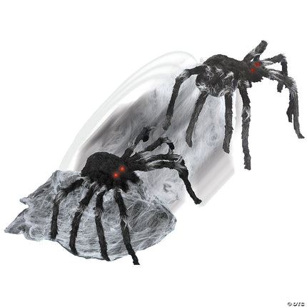 Jumping Spider- jumping