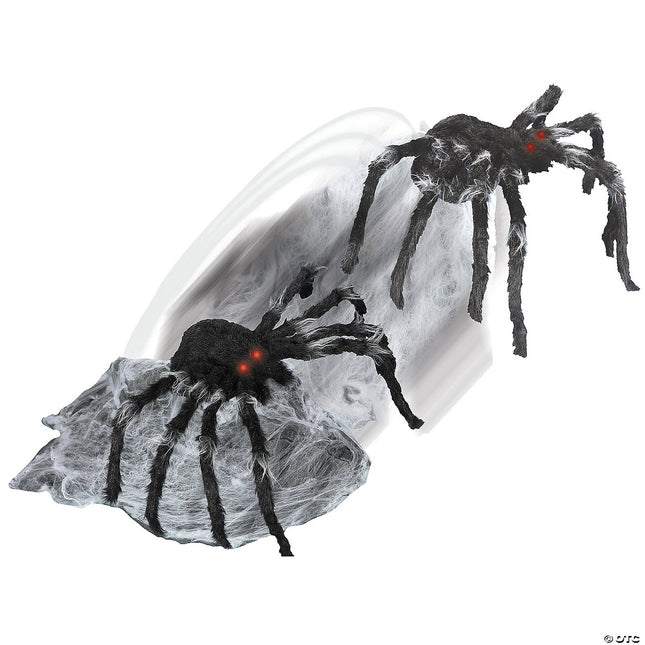 Jumping Spider- jumping
