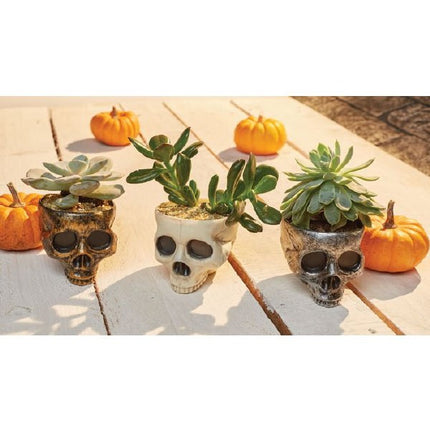 Mini Skull Planters