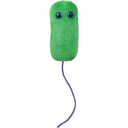 Legionnaires' Disease- front view