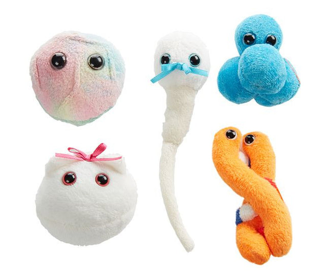 Egg Cell, Sperm Cell, Stem Cell, Zygote, and DNA Plushies