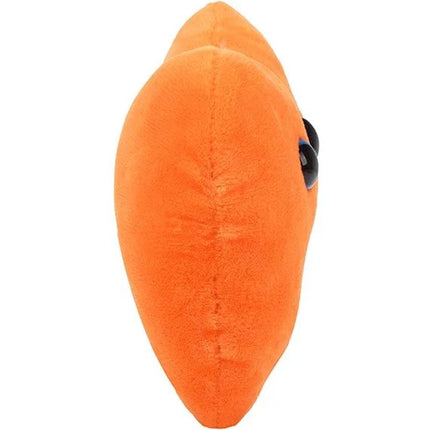 Liver - side view