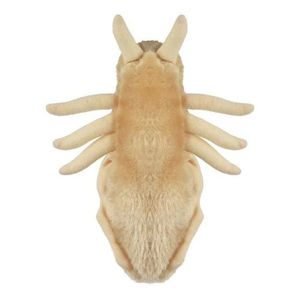 Louse- Classic- Bottom View