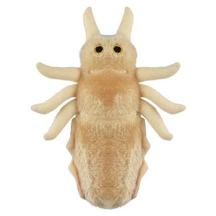 Louse- Classic- Top View