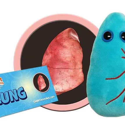 Lung- With Informational Tag