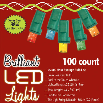 HOLIDAY LIGHTS 100L M5