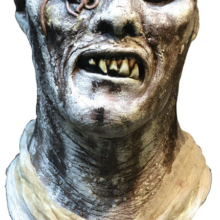Front view of Poster Zombie mask