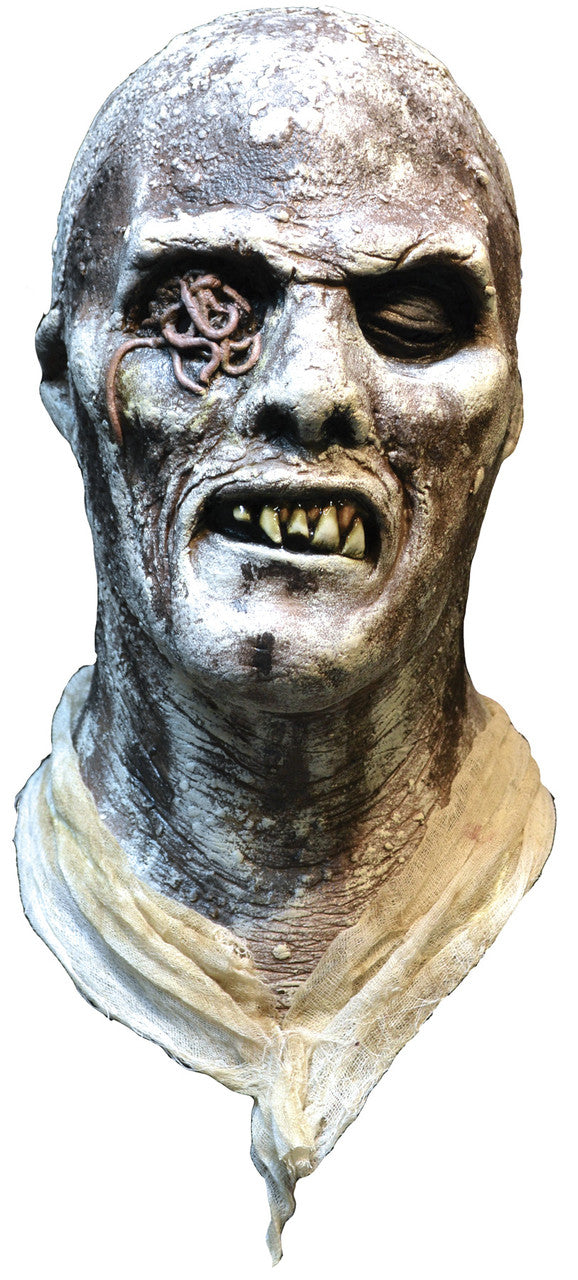 Front view of Poster Zombie mask