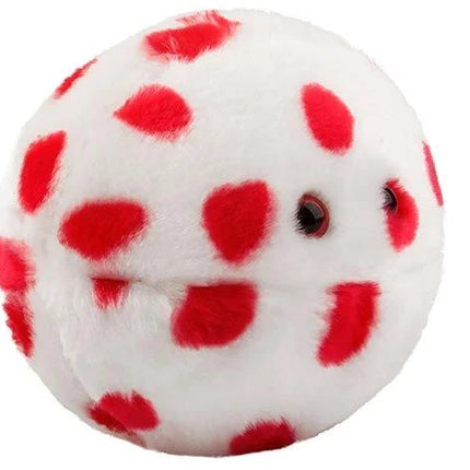 Measles- Right View