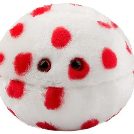 Measles- Front View