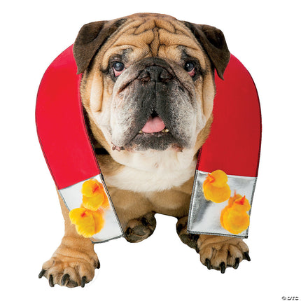 Chick Magnet Pet Costume