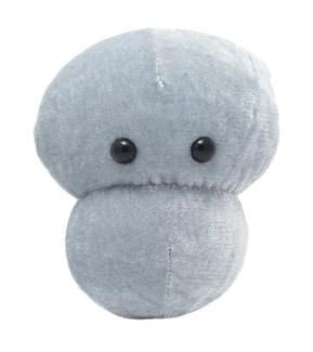 Meningitis Plushie