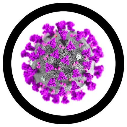 MERS- Microscope View