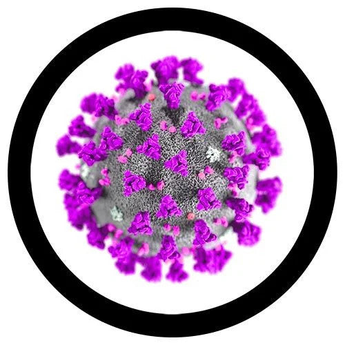 MERS- Microscope View