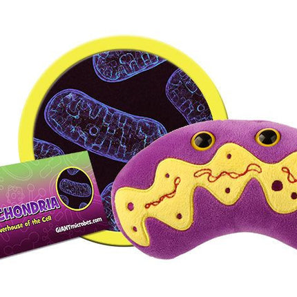 Mitochondria- Classic- With Informational Card