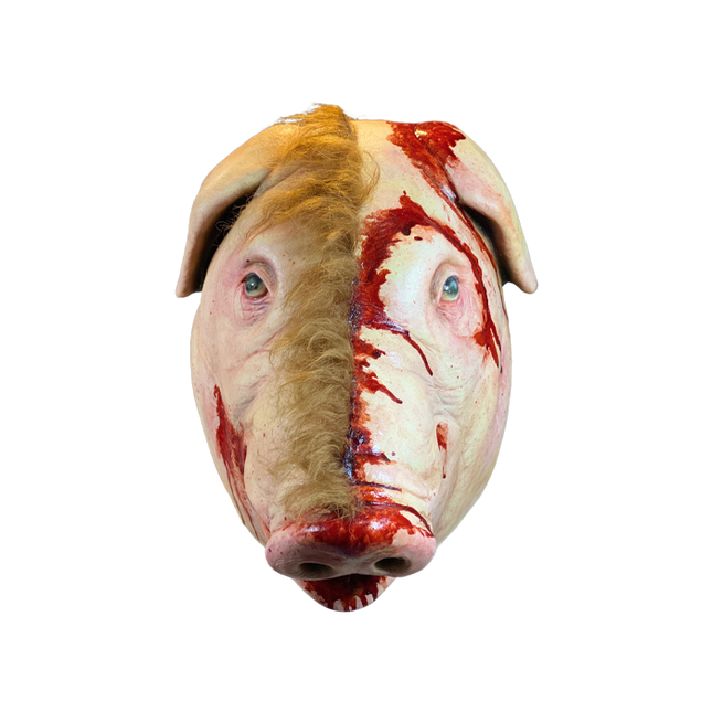Front view of Pig Mask