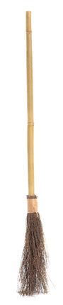 Witch Broom