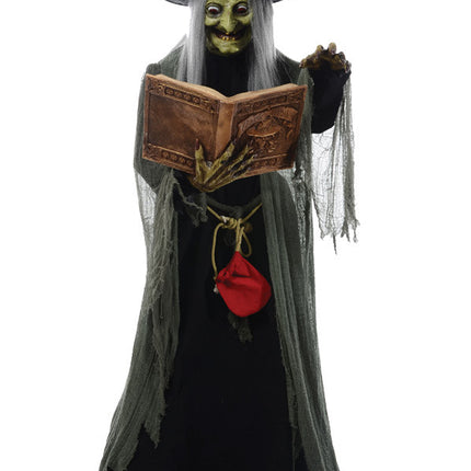 5.7' Animated Spell-Speaking Witch