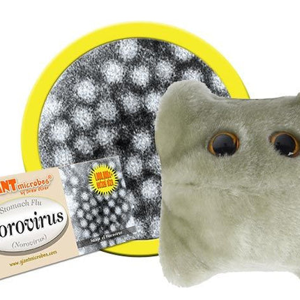 Norovirus- Original- With Informational Tag