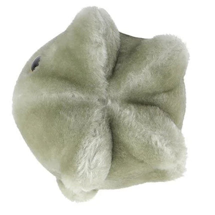 Norovirus- Original- Top View