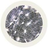 Bone Cell- Microscope View