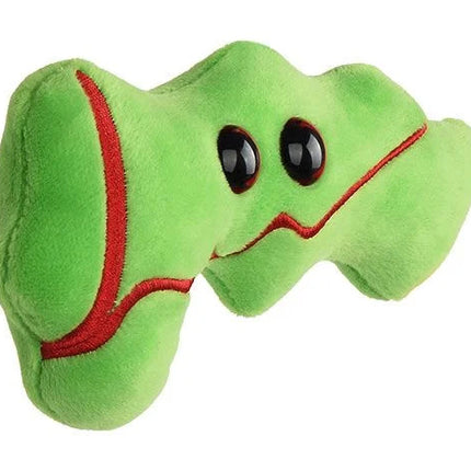 Pancreas- Angled View