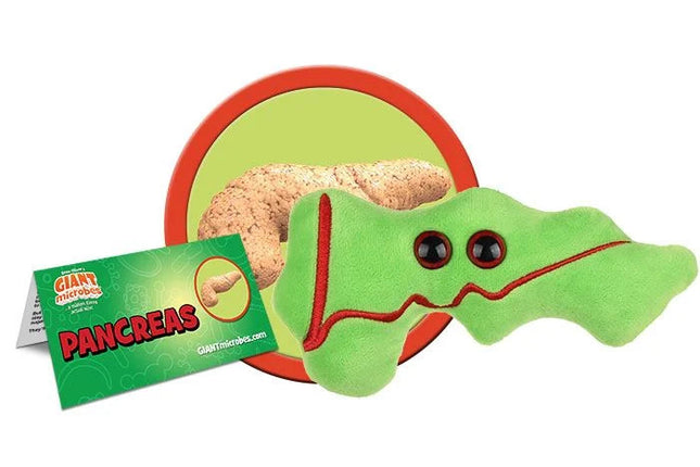 Pancreas With Informational Tag