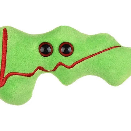 Pancreas Front View