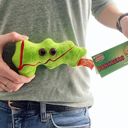Pancreas- Held by Model