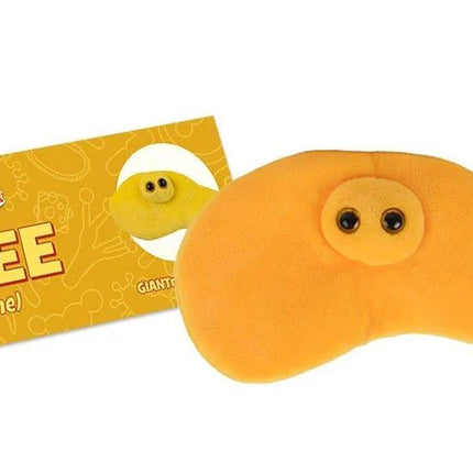 Pee/ Urine- With Informational Tag