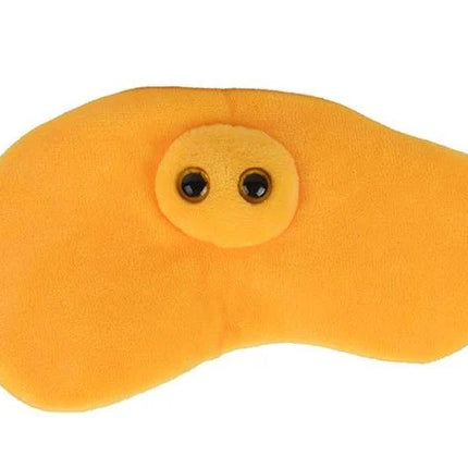 Pee/ Urine- Front View