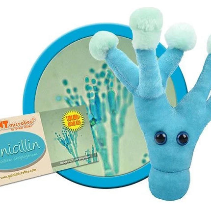 Penicillin- With Informational Tag