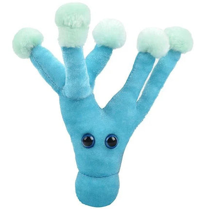 Penicillin- Front View