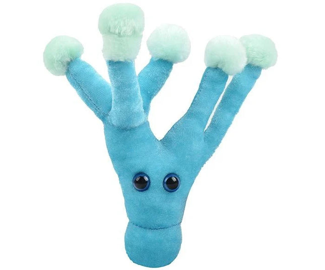 Penicillin- Front View