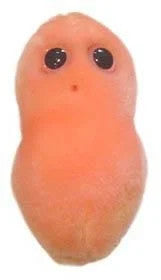 Pimple/ Acne- Front View