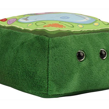 Plant Cell- Side View