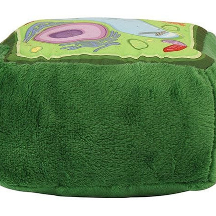 Plant Cell- Back View