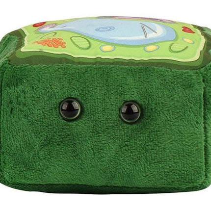 Plant Cell- front View